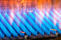 Wrockwardine Wood gas fired boilers